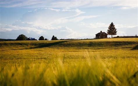  The Village Under the Yew Tree: Ontmaskering van een verborgen wereld vol magie en mysterie!